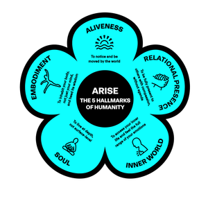 ARISE_Framework